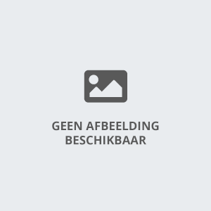 Opblaasbare Sarah met Stok 3m Huren